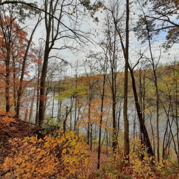 122127245 4127309630618386 5861705965819097676 O