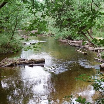 White Cloud Park White River