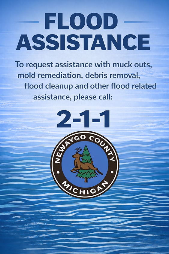Flood Assistance Graphic